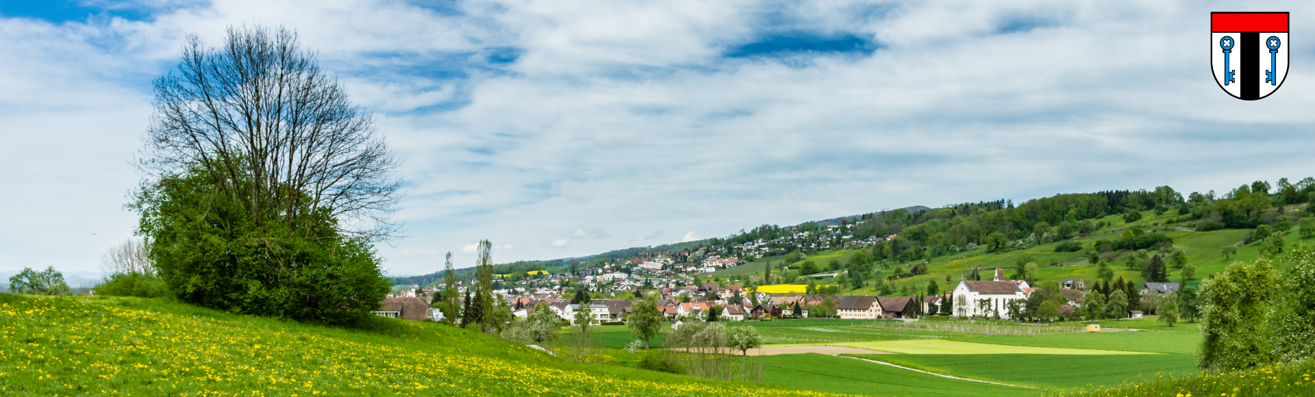 FDP - PLR Slider